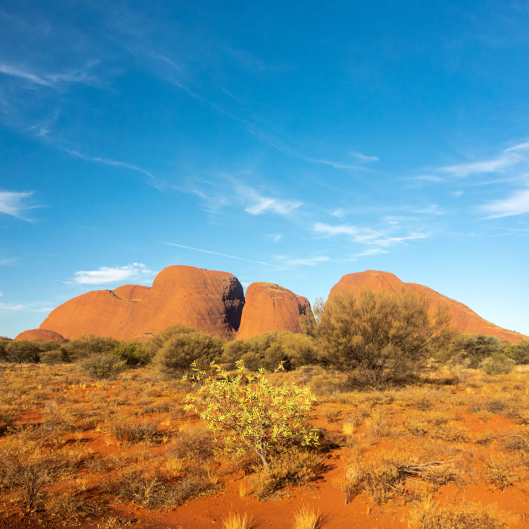 Nature's Image Photography and Tours